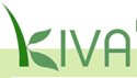 Kiva